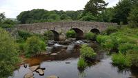 Dartmoor 20180618 175109 &ndash; &copy; Marlies Thrum (Eberhardt TRAVEL)