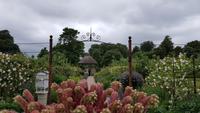 West Deans Gardens 20180617 135058 &ndash; &copy; Marlies Thrum (Eberhardt TRAVEL)