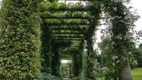 West Deans Gardens 20180617 140616 &ndash; &copy; Marlies Thrum (Eberhardt TRAVEL)