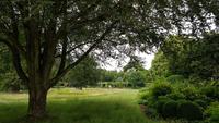West Deans Gardens 20180617 143808 &ndash; &copy; Marlies Thrum (Eberhardt TRAVEL)