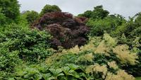 Lanhydrock 20180619 123939 &ndash; &copy; Marlies Thrum (Eberhardt TRAVEL)