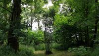 Lost Gardens of Heligan 20180619 160316 &ndash; &copy; Marlies Thrum (Eberhardt TRAVEL)