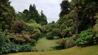 Lost Gardens of Heligan 20180619 160720 &ndash; &copy; Marlies Thrum (Eberhardt TRAVEL)