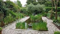 Lost Gardens of Heligan 20180619 170410 &ndash; &copy; Marlies Thrum (Eberhardt TRAVEL)