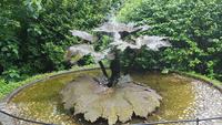 Trebah Garden 20180620 163545 &ndash; &copy; Marlies Thrum (Eberhardt TRAVEL)