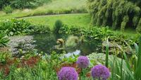 Trebah Garden 20180620 164412 &ndash; &copy; Marlies Thrum (Eberhardt TRAVEL)