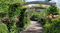 Eden Project 20180621 110229 &ndash; &copy; Marlies Thrum (Eberhardt TRAVEL)