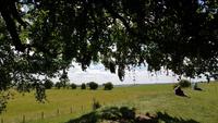 Avebury - Wish Tree - Wunschbaum 20180622 124804 &ndash; &copy; Marlies Thrum (Eberhardt TRAVEL)