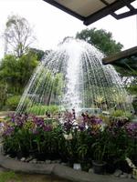 Orchideengarten (2) &ndash; &copy; Ngoc Anh Nguyen (Eberhardt TRAVEL)