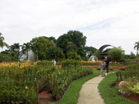 Orchideengarten (3)