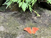So schoen Orange &ndash; &copy; Elisabeth Fox-Maerki (Eberhardt TRAVEL)