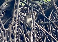 Wir sind doch gut versteckt &ndash; &copy; Elisabeth Fox-Maerki (Eberhardt TRAVEL)