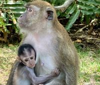 Mama und ich