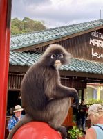 Du auch da ! &ndash; &copy; Elisabeth Fox-Maerki (Eberhardt TRAVEL)