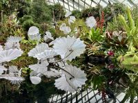 Was ist Spiegelung und was Glass &ndash; &copy; Elisabeth Fox-Maerki (Eberhardt TRAVEL)