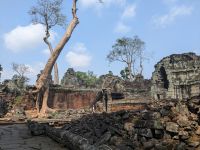 Preah Khan &ndash; &copy; Natalie Hady (Eberhardt TRAVEL)