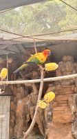 Vogelpark, Kuala Lumpur, Malaysia  &ndash; &copy; Mareike Schmidt (Eberhardt TRAVEL)