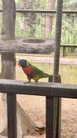 Vogelpark, Kuala Lumpur, Malaysia  &ndash; &copy; Mareike Schmidt (Eberhardt TRAVEL)