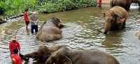 Kanta elephant sanctuary (1) &ndash; &copy; Marcus Hasselhorst (Eberhardt TRAVEL)