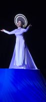 Hoi An Memory Show (2)