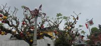 Hoi An pur (16) &ndash; &copy; Marcus Hasselhorst (Eberhardt TRAVEL)