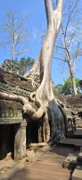 Verwunschene Tempel (12) &ndash; &copy; Marcus Hasselhorst (Eberhardt TRAVEL)