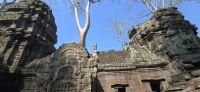 Verwunschene Tempel (6) &ndash; &copy; Marcus Hasselhorst (Eberhardt TRAVEL)
