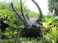 0239 Schmetterlingsfarm Penang &ndash; &copy; Patrick Fritzsche (Eberhardt TRAVEL)