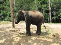 IMG_9275 &ndash; &copy; Anne Schröder (Eberhardt TRAVEL)