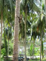 IMG_9286 &ndash; &copy; Anne Schröder (Eberhardt TRAVEL)