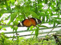 IMG_9445 &ndash; &copy; Anne Schröder (Eberhardt TRAVEL)
