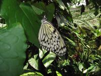 IMG_9457 &ndash; &copy; Anne Schröder (Eberhardt TRAVEL)