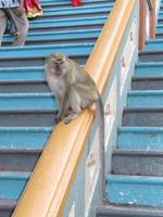 IMG_9497 &ndash; &copy; Anne Schröder (Eberhardt TRAVEL)