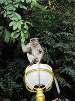 IMG_9504 &ndash; &copy; Anne Schröder (Eberhardt TRAVEL)