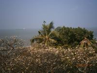 Vung Tau &ndash; &copy; Galina Kraslavskaya (Eberhardt TRAVEL)