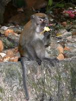 Höhlen von Batu &ndash; &copy; Anna Stiebing (Eberhardt TRAVEL)