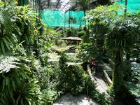 01.02.2016: Kuala Lumpur - Schmetterling-Park &ndash; &copy; Katrin Deutschbein (Eberhardt TRAVEL)