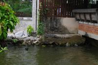 Bangkok, Thailand &ndash; &copy; Stefanie Knisse (Eberhardt TRAVEL)