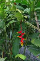 Singapur &ndash; &copy; Stefanie Knisse (Eberhardt TRAVEL)
