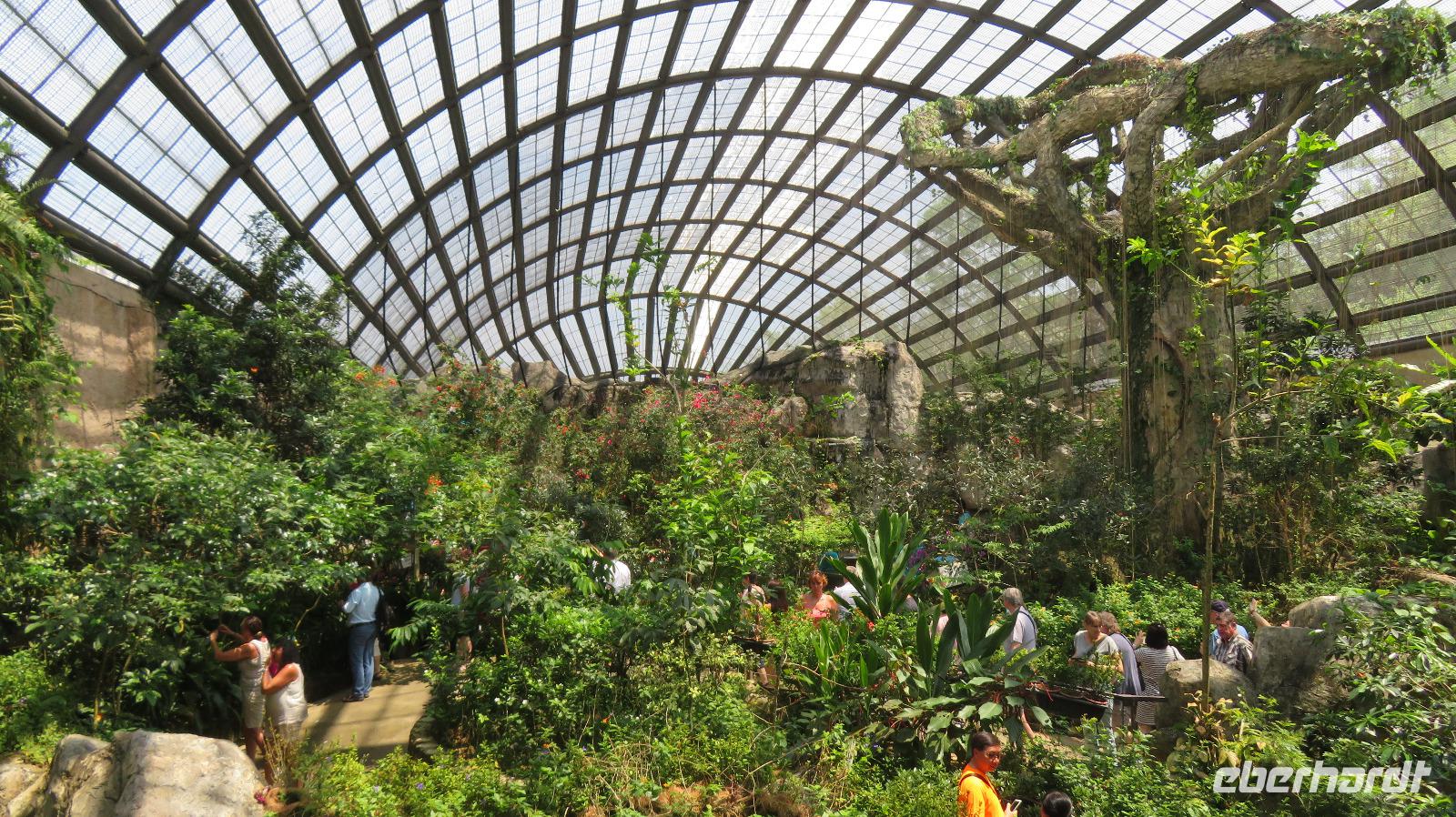 Schmetterlingshaus &ndash; &copy; Rico Manns (Eberhardt TRAVEL)