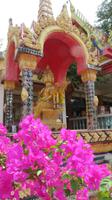 Koh Samui