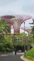Singapur &ndash; &copy; Rico Manns (Eberhardt TRAVEL)