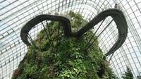 Flower Dome &ndash; &copy; Rico Manns (Eberhardt TRAVEL)