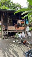 Jeep Safari auf Tahiti &ndash; &copy; Jacob Spangenberg (Eberhardt TRAVEL)