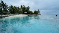 Fische gucken im Hafen von Rangiroa &ndash; &copy; Jacob Spangenberg (Eberhardt TRAVEL)