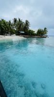 Fische gucken im Hafen von Rangiroa &ndash; &copy; Jacob Spangenberg (Eberhardt TRAVEL)