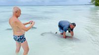 Haie streicheln auf Fakarava &ndash; &copy; Jacob Spangenberg (Eberhardt TRAVEL)