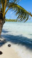 Lagune von Tahaa - Motu Mahana  &ndash; &copy; Jacob Spangenberg (Eberhardt TRAVEL)