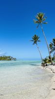 Lagune von Tahaa - Motu Mahana  &ndash; &copy; Jacob Spangenberg (Eberhardt TRAVEL)