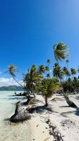 Lagune von Tahaa - Motu Mahana  &ndash; &copy; Jacob Spangenberg (Eberhardt TRAVEL)